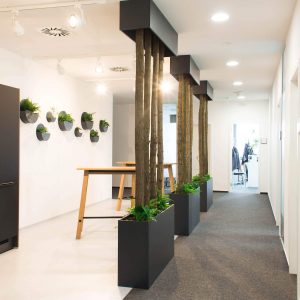 Zelina world ponuka pre office