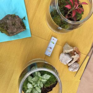 Zelina world worshop